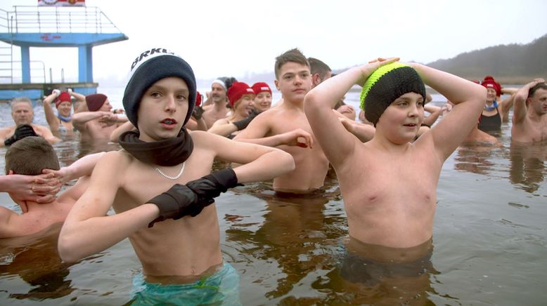 Eisbader Mikolaj - Ein Walross in Polen