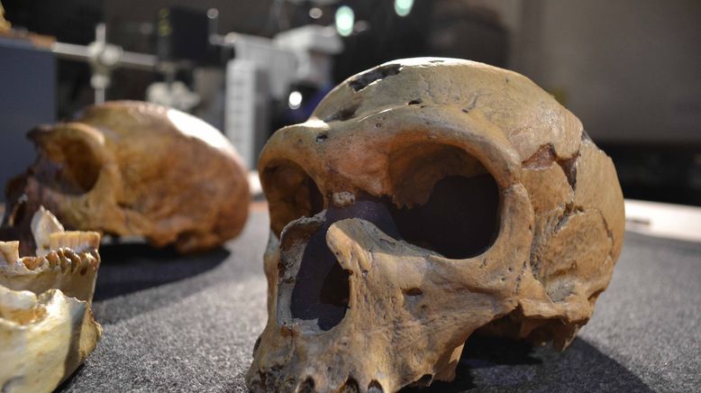 Das dunkle Geheimnis der Neandertaler