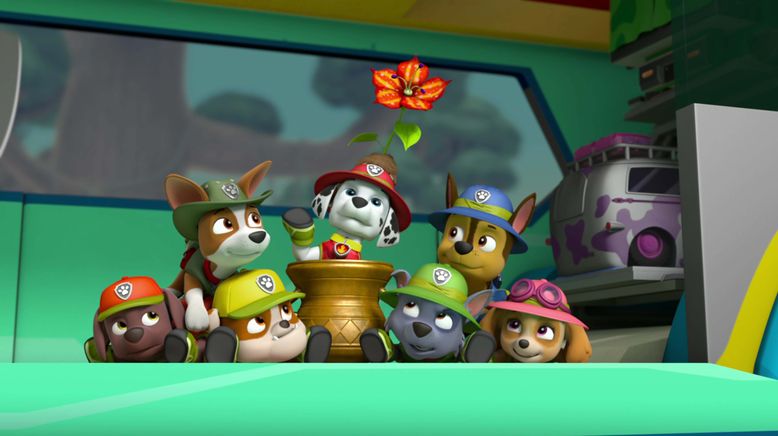 Paw Patrol - Helfer auf vier Pfoten