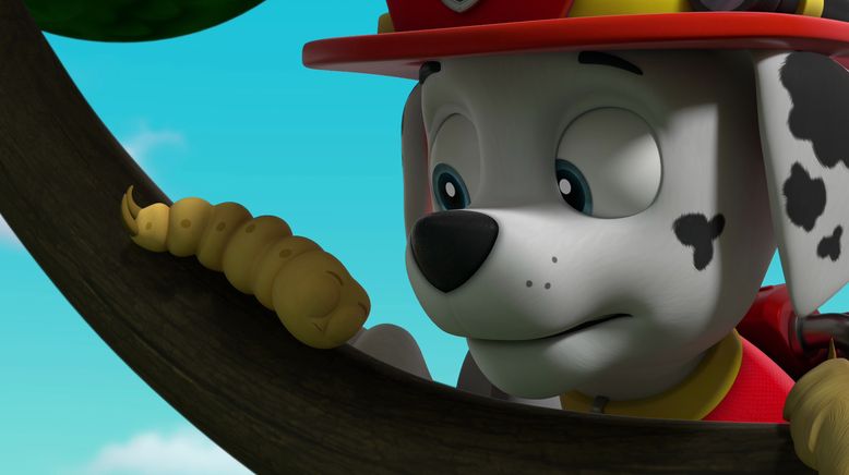 Paw Patrol: Helfer auf vier Pfoten