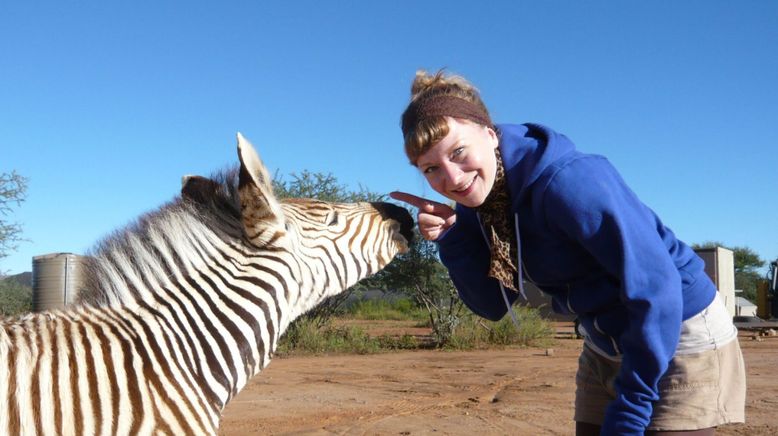 Paula und die wilden Tiere