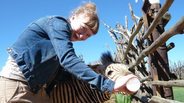 Paula und die wilden Tiere