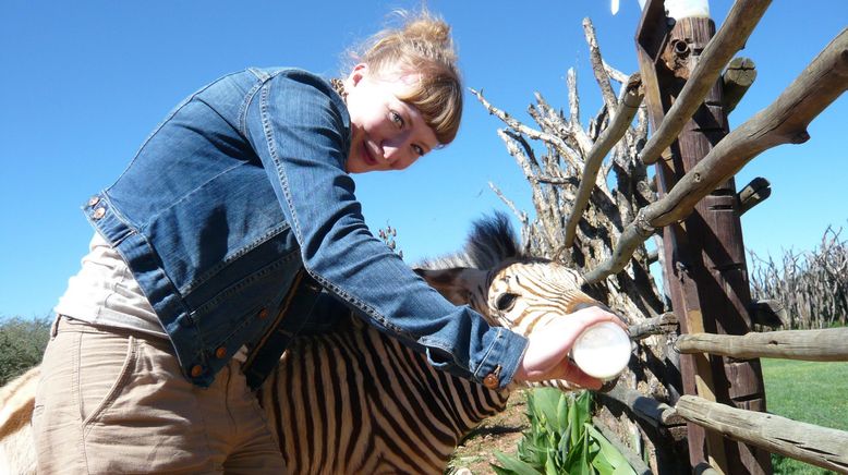 Paula und die wilden Tiere