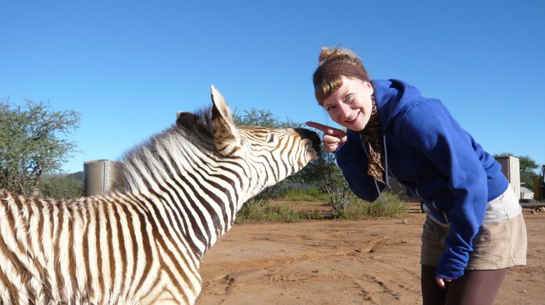 Paula und die wilden Tiere