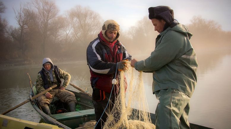 Rumänien: Eine Weihnachtsreise ins Donaudelta