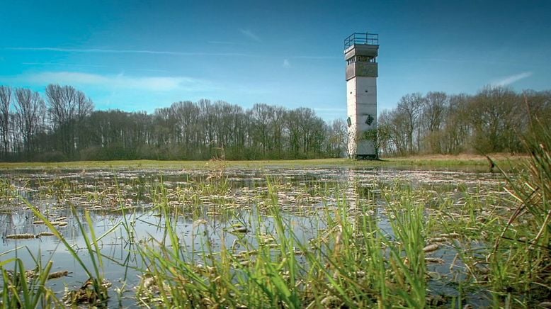 Tiere an den Grenzen