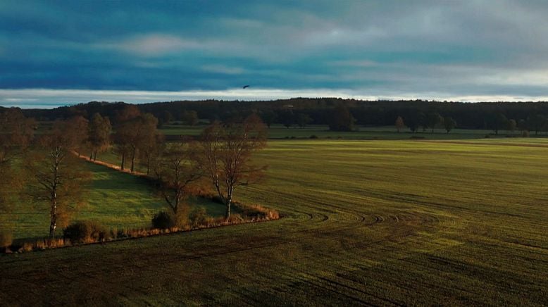 Unterwegs im hohen Norden