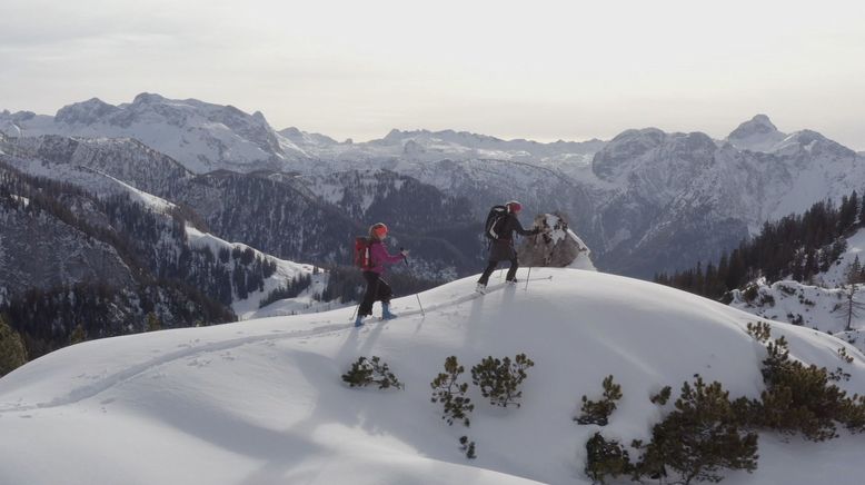 Rund um den Königssee