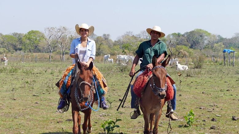 Anna und die wilden Tiere