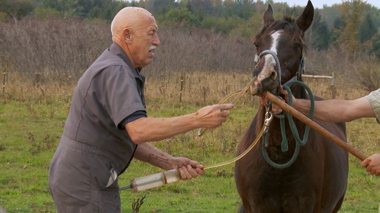 Der unglaubliche Dr. Pol