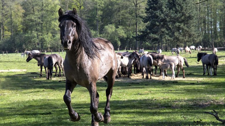 Unser Westen, unser Bestes