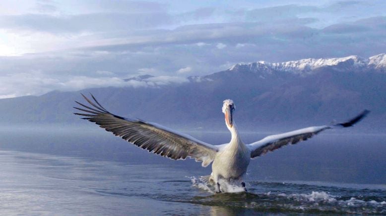 Europas verborgene Naturwunder