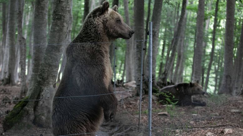 Europas verborgene Naturwunder