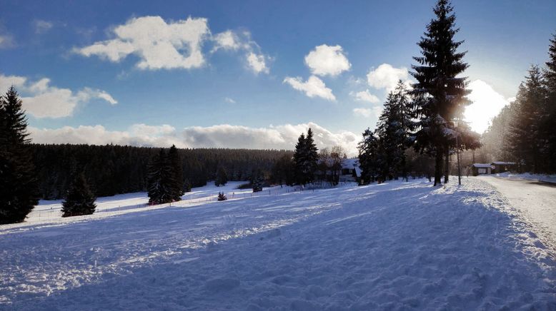 Thüringer Wald