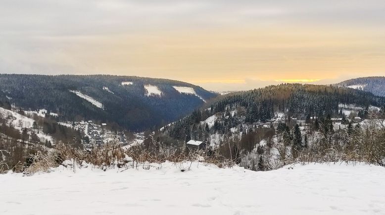 Thüringer Wald