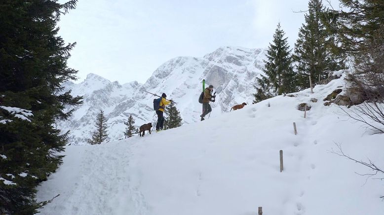 Rund um den Königssee