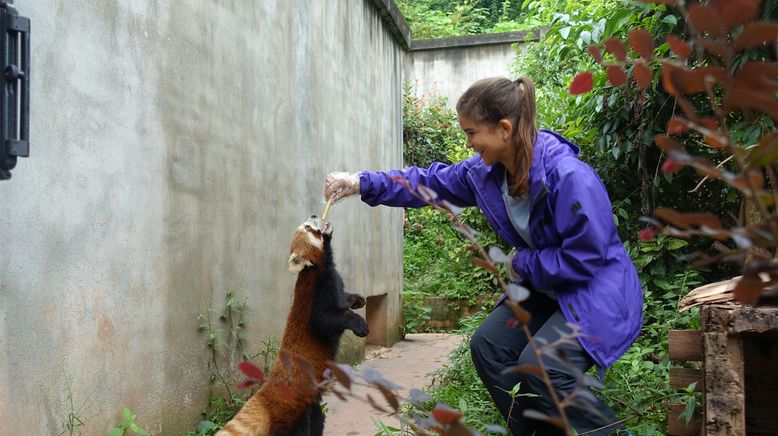 Anna und die wilden Tiere