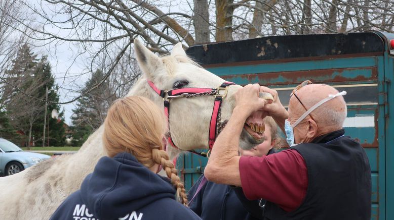 Der unglaubliche Dr. Pol