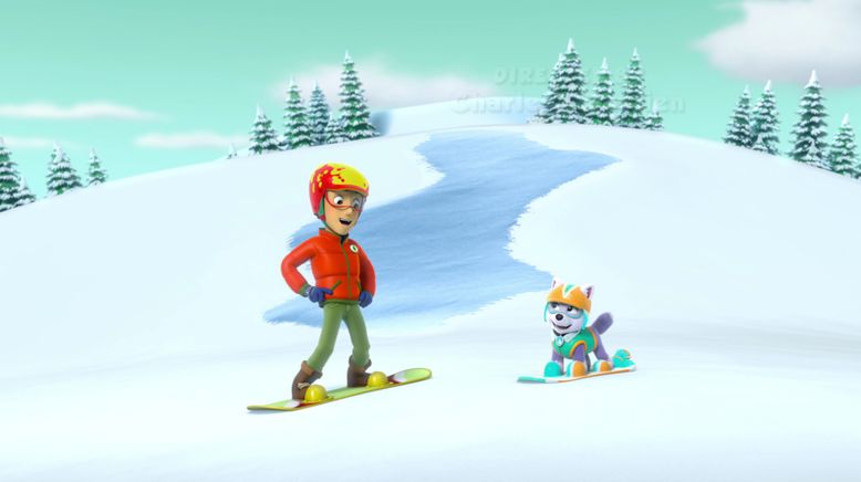 Paw Patrol: Helfer auf vier Pfoten