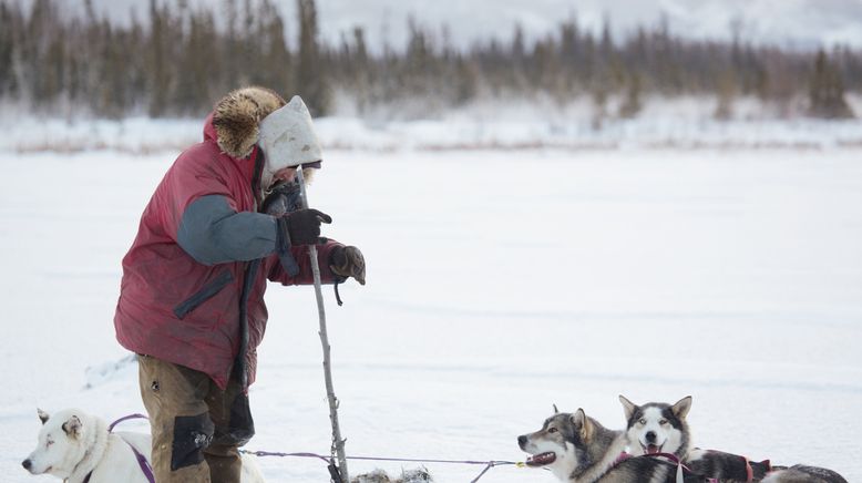 Life Below Zero - Überleben in Alaska