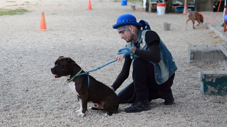 Pitbulls auf Bewährung