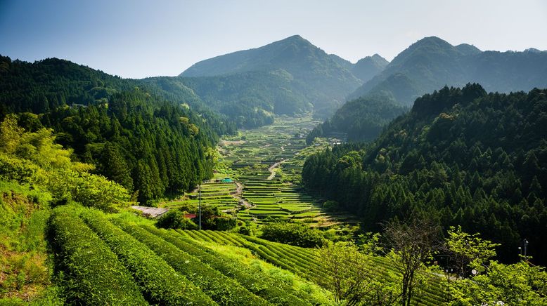 Wildes Japan - Land der tausend Inseln