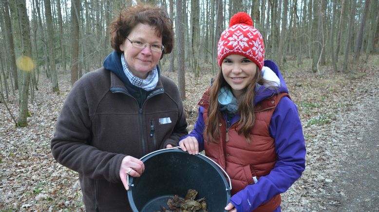 Anna und die wilden Tiere