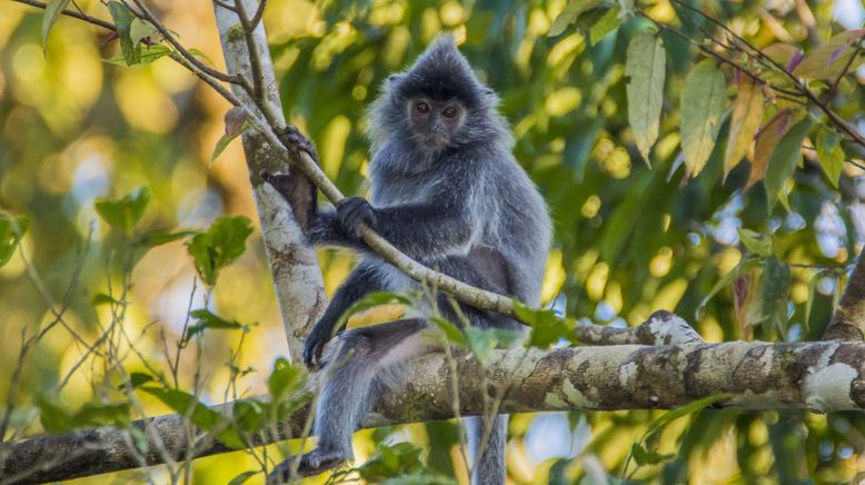 Bronx Zoo - Tierpark der Superlative