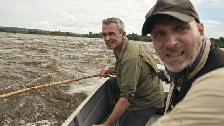 Giganten unter Wasser - Riesenfischen auf der Spur