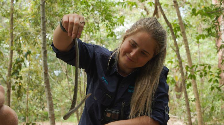 Snake Security - Schlangenalarm in Australien