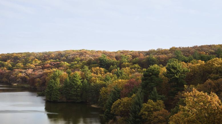 Die Morde von Starved Rock