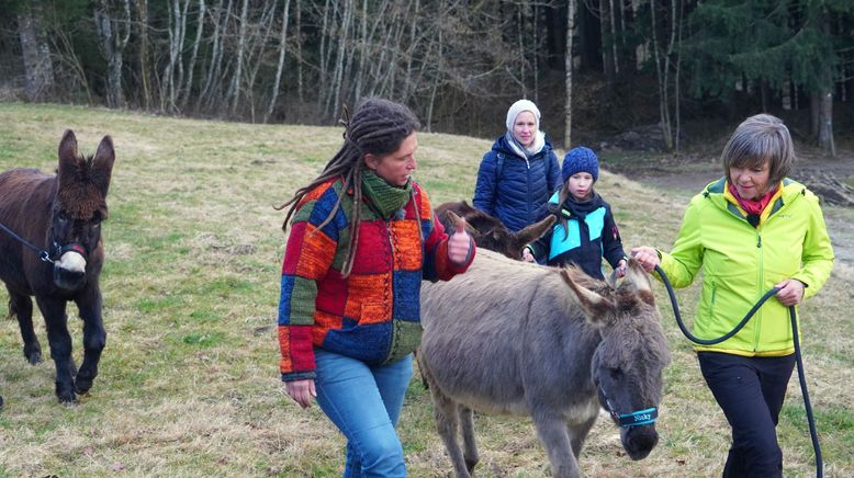 Expedition in die Heimat