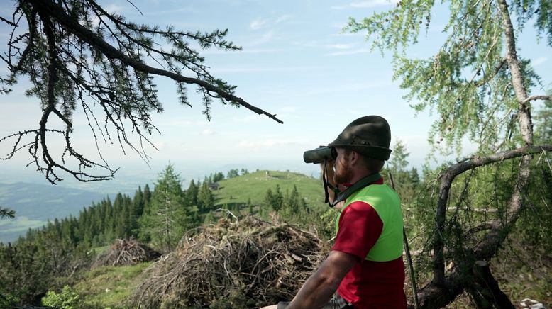 Almleben am Salzburger Untersberg