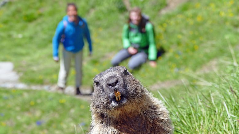 Pia und die wilde Natur