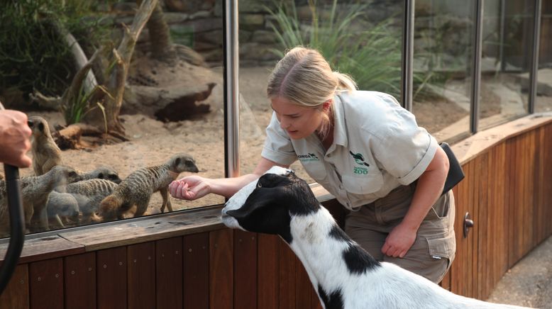 Taronga Zoo Hautnah