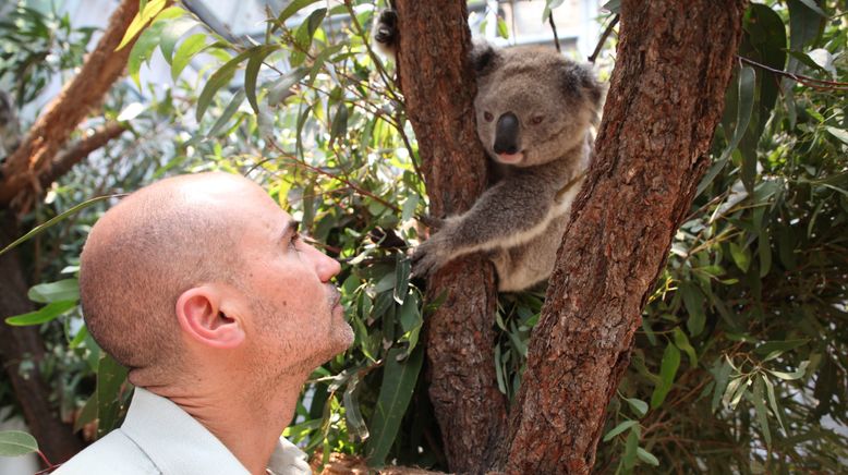 Taronga Zoo Hautnah