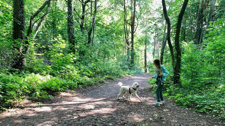 Lilli: Mein Leben mit Shira