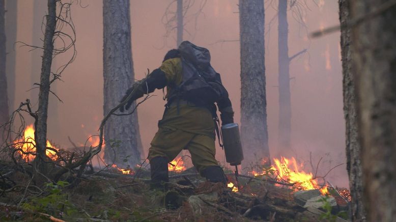 Geliebtes Korsika: Kampf gegen das Feuer