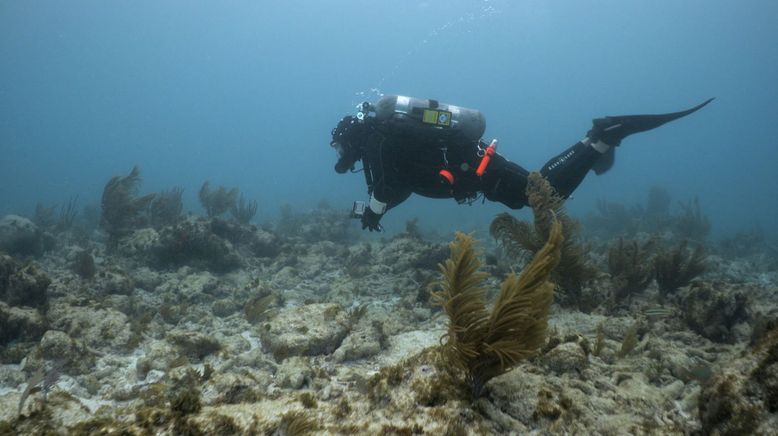 Die Schatzsucher auf geheimer Mission - Beyond Oak Island