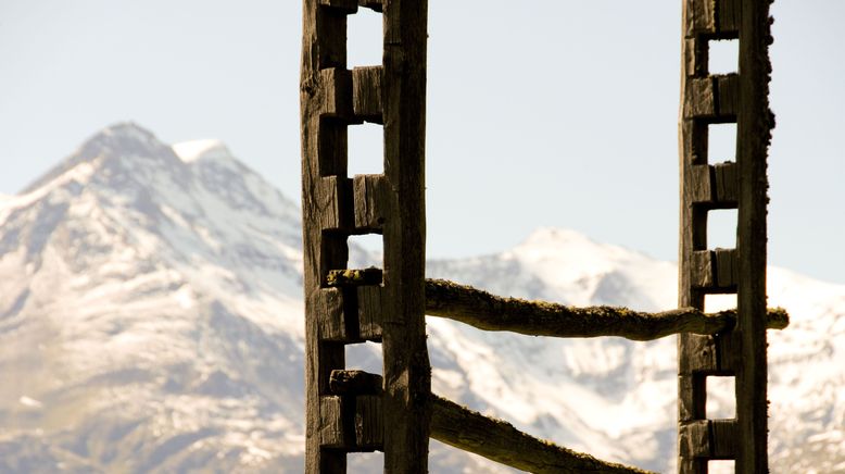 Wildnisse im Herzen Europas