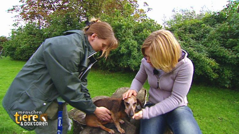 Menschen, Tiere & Doktoren