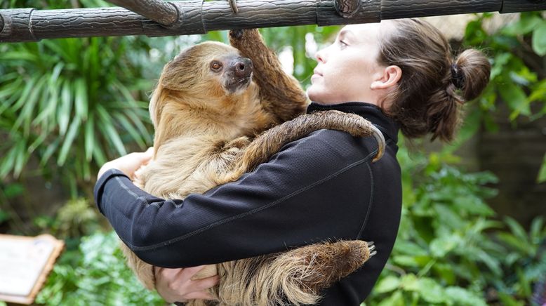 Die Superkräfte der Tiere