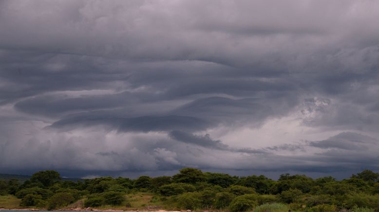 Tanganjika - Das Meer im Herzen Afrikas