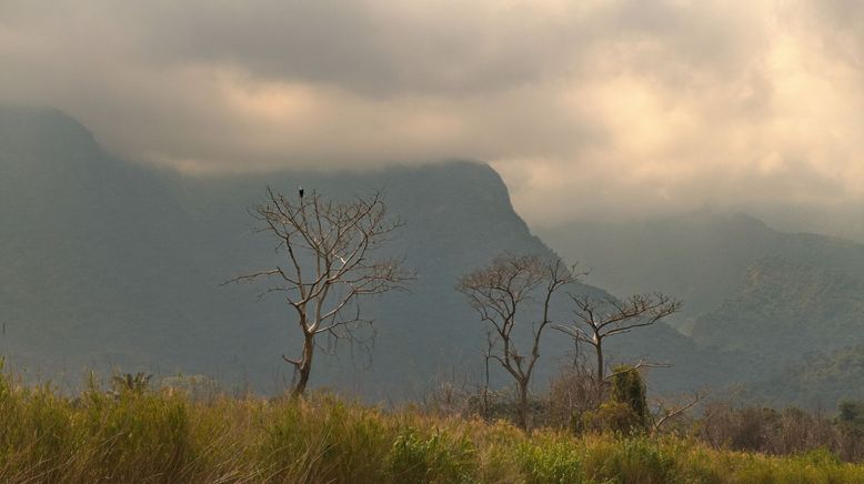 Tanganjikasee - Das blaue Herz Afrikas