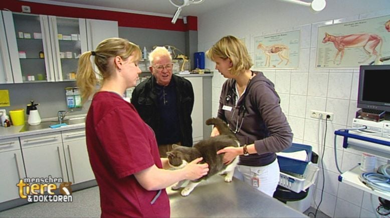 Menschen, Tiere & Doktoren