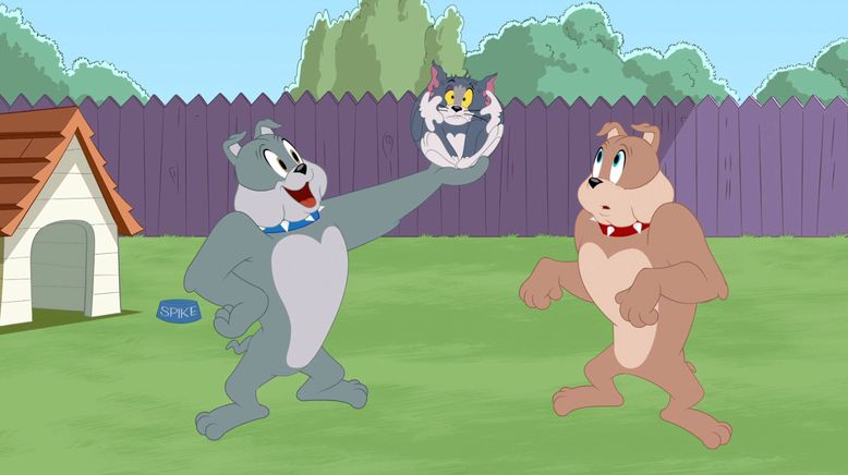 Die Tom und Jerry Show