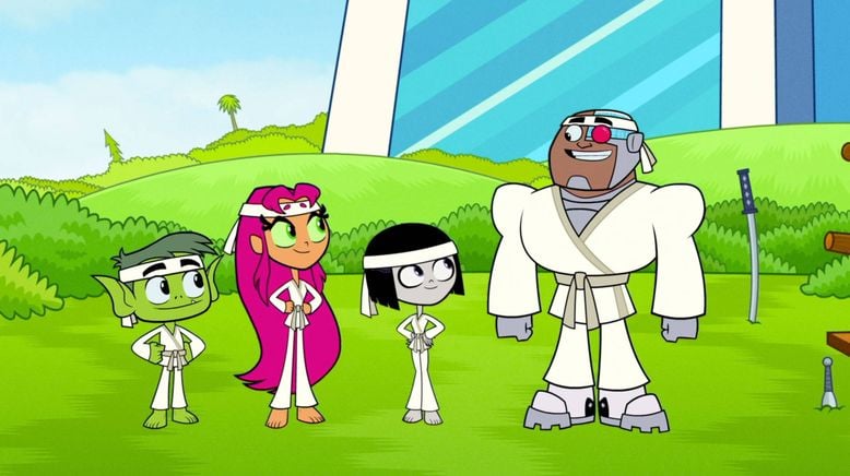 Die Teen Titans Go!-Show