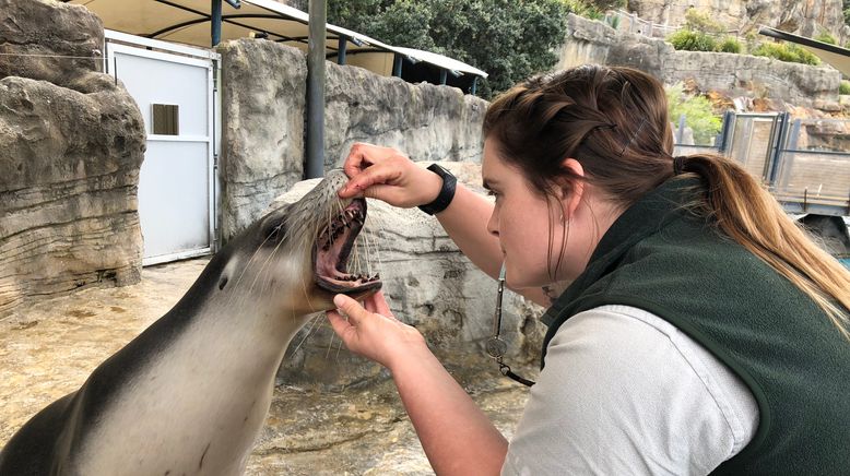 Taronga Zoo Hautnah