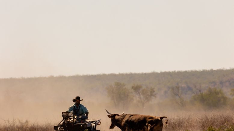 Outback Cowboys - Wilde Bullen, harte Kerle