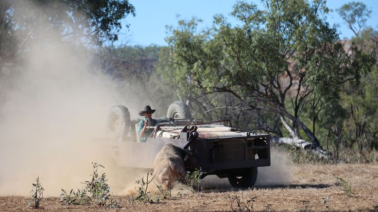 Outback Cowboys - Wilde Bullen, harte Kerle